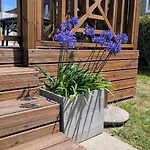 Cozy Mobile With Great Comfort - La Sirene Lejlighed