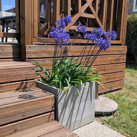 Cozy Mobile With Great Comfort - La Sirene Daire